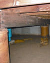 Mold and rot thriving in a dirt floor crawl space in Cookeville
