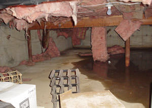 Fiberglass dripping off of the ceilings of a Smithville crawl space